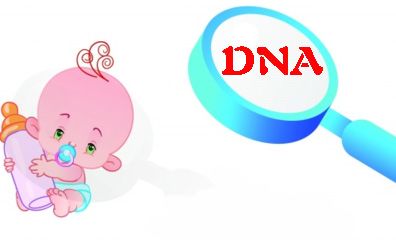 DNA亲子鉴定