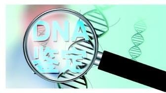 惠州亲子鉴定