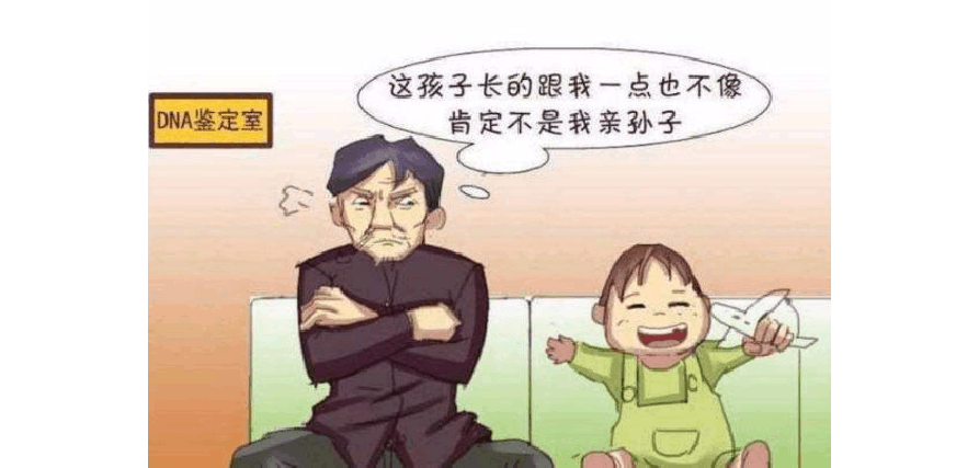 亲子鉴定