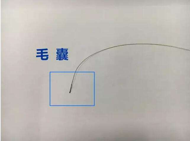 个人亲子鉴定